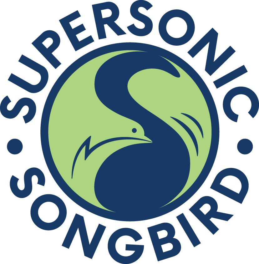 Supersonic Songbird Vocal Coaching